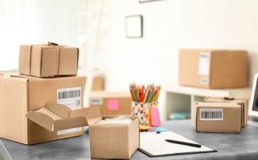 document parcel delivery courier services in greater noida